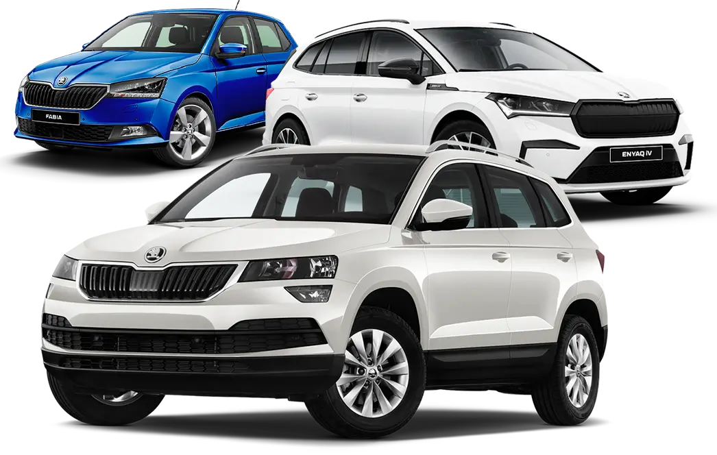 Škoda Usados